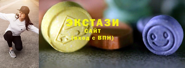 ECSTASY Богородицк